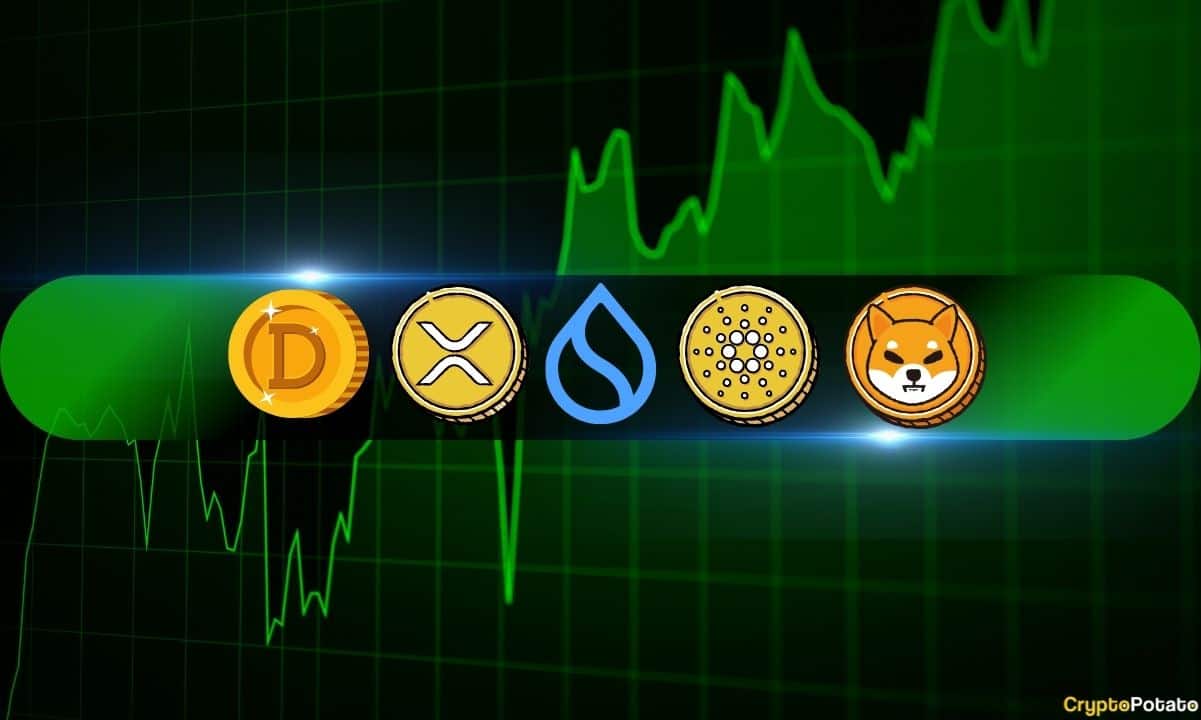 2015年11月加密货币价格走势:XRP、ADA、DOGE、SHIB和SUI分析